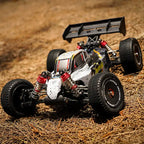 RC Offroad Buggy (2)
