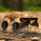 RC Offroad Buggy (3)