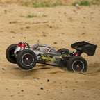 RC Offroad Buggy (4)
