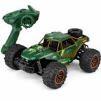 Groene 1:16 RC offroad auto met 4WD, grote banden en afstandsbediening